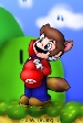 Raccon Mario